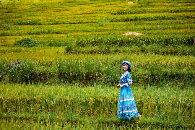 Sa Pa charms the changing color of the rice season!  - 3