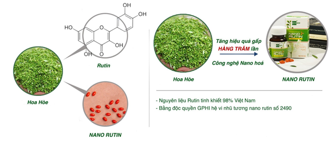 Vì sao Nano Rutin từ hoa hòe được khuyên dùng cho bệnh trĩ? - 1