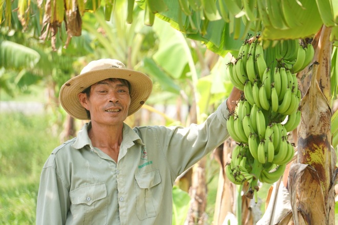 Lão gàn U50 đánh thức vùng chiêm trũng, thu hàng trăm triệu đồng mỗi năm - 1