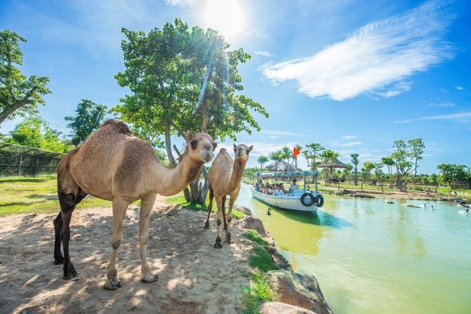 Top 3 điểm đến du lịch ven biển được yêu thích nhất Việt Nam - 14