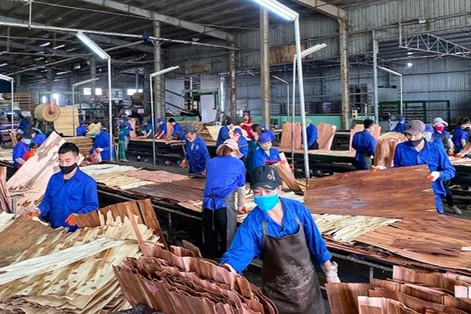 Sự khích lệ để hộ kinh doanh vực dậy sau khó khăn do Covid-19 - 4 Sự khích lệ để hộ kinh doanh vực dậy sau khó khăn do Covid-19 - 4