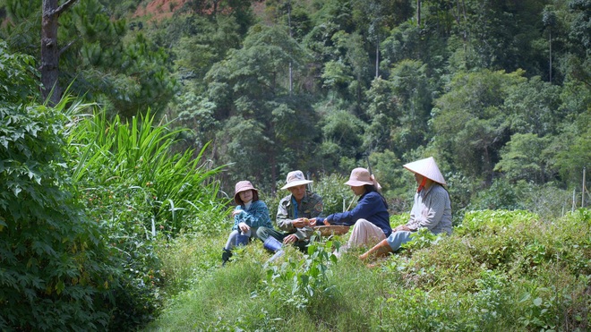 The simple life of thousands of people's dreams of a girl who builds a wooden house and grows vegetables in Da Lat - 10