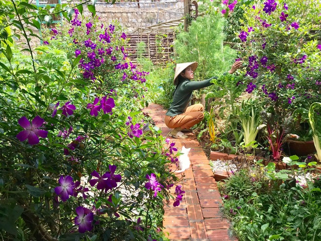 The simple life of ten thousand people dreams of a girl who builds a wooden house and grows vegetables in Da Lat - 11