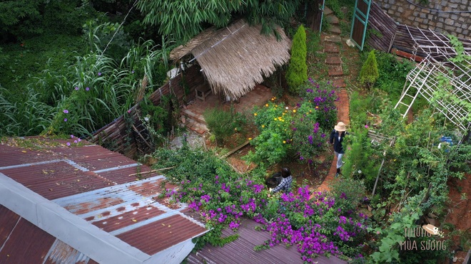 The simple life of thousands of people dreaming of a girl who builds a wooden house and grows vegetables in Da Lat - 2