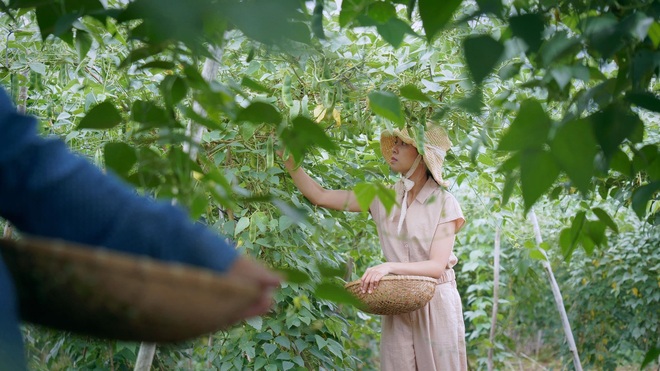 The simple life of thousands of people's dreams of a girl who builds a wooden house and grows vegetables in Da Lat - 1