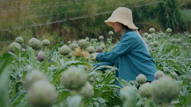 The simple life of thousands of people's dreams of a girl who builds a wooden house and grows vegetables in Da Lat - 9