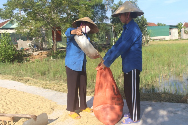 Nữ sinh nghèo le lói ước mơ tới giảng đường đại học - 1