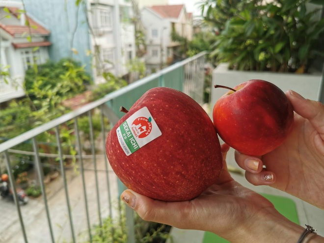 10 loại trái cây đắt nhất thế giới, có quả giá bằng chiếc xe hơi hạng sang - 2