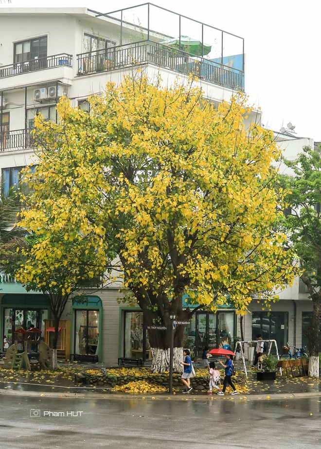 Giảng viên đại học gây bão với những bức ảnh chụp tại thành phố xanh - 9 Giảng viên đại học gây bão với những bức ảnh chụp tại thành phố xanh - 9