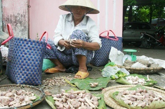 Mùa nấm tràm tại Huế - 5 Mùa nấm tràm tại Huế - 5