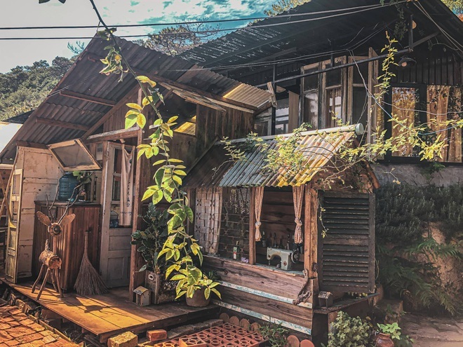Những quán cà phê trốn khói bụi, ẩn trong rừng ở Đà Lạt - 1 Những quán cà phê trốn khói bụi, ẩn trong rừng ở Đà Lạt - 1