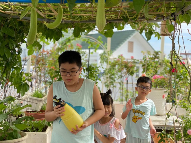 Vườn hồng rực rỡ, giàn mướp sai trĩu giữa mùa dịch của mẹ đảm tại TPHCM - 9 Vườn hồng rực rỡ, giàn mướp sai trĩu giữa mùa dịch của mẹ đảm tại TPHCM - 9