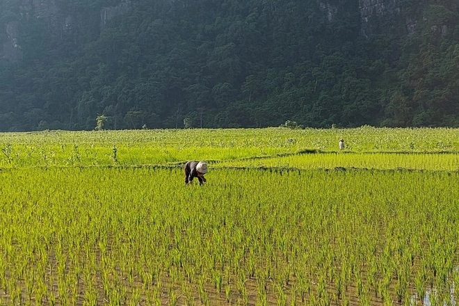 Thanh tra vào cuộc vụ cán bộ nhận tiền dân tự nguyện hỗ trợ - 2