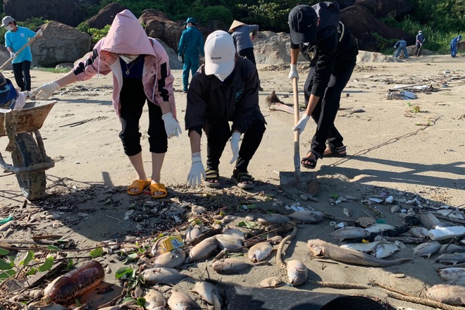 Cá chết trắng sau mưa lũ, ngư dân Quảng Ngãi ngậm ngùi đào hố chôn tiền tỷ - 5
