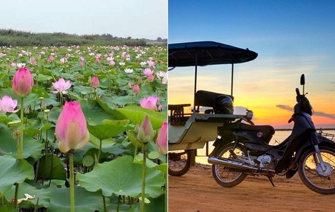 Ba đô la và nỗi day dứt mùa sen - 1 Ba đô la và nỗi day dứt mùa sen - 1