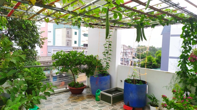 Không gian xanh mướt như góc du lịch miễn phí của gia đình ở Bình Thuận - 2 Không gian xanh mướt như góc du lịch miễn phí của gia đình ở Bình Thuận - 2