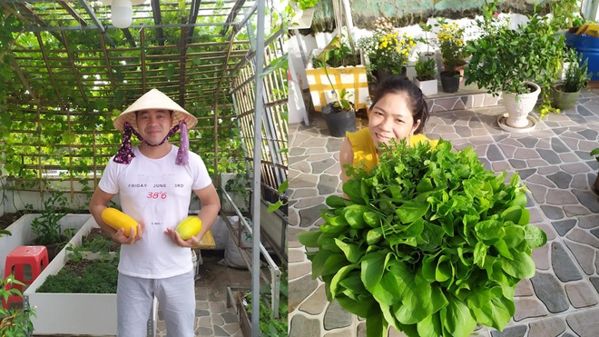 Không gian xanh mướt như góc du lịch miễn phí của gia đình ở Bình Thuận - 6 Không gian xanh mướt như góc du lịch miễn phí của gia đình ở Bình Thuận - 6