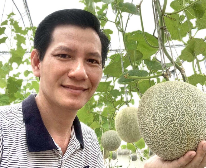 Anh nông dân trồng dưa lưới trên sân thượng giữa Sài Gòn, thu cả tạ trái - 12 Anh nông dân trồng dưa lưới trên sân thượng giữa Sài Gòn, thu cả tạ trái - 12