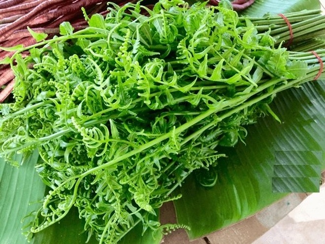 Khó quên hương vị món rau đặc sản vùng núi Tây Bắc - 1 Khó quên hương vị món rau đặc sản vùng núi Tây Bắc - 1