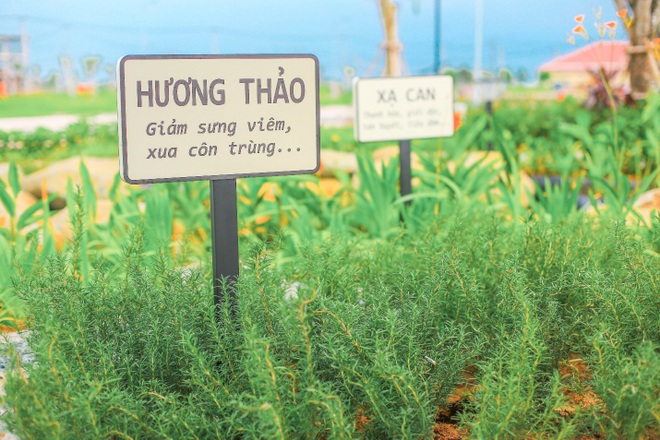 Covid-19 - tác nhân thay đổi xu hướng chọn nhà của một bộ phận gia đình thành thị - 3 Covid-19 - tác nhân thay đổi xu hướng chọn nhà của một bộ phận gia đình thành thị - 3