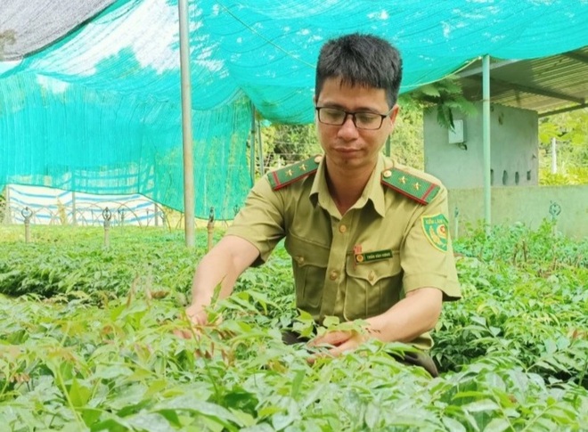 Ngỡ ngàng cả khu rừng lim còn sót lại duy nhất một báu vật - 3