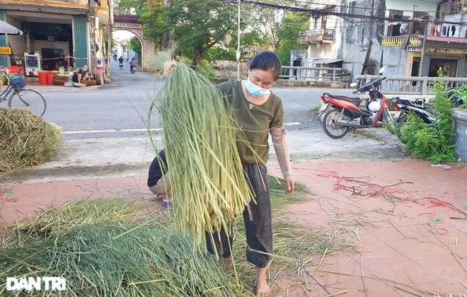 Sống khỏe trong dịch bệnh nhờ cuộn rơm đuôi trâu xuất khẩu sang Nhật - 6 Sống khỏe trong dịch bệnh nhờ cuộn rơm đuôi trâu xuất khẩu sang Nhật - 6