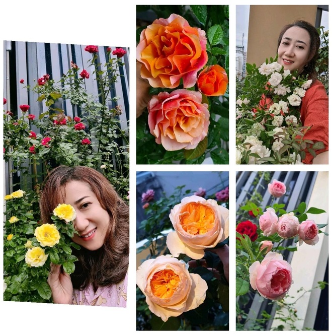 Khu vườn rực rỡ giữa mùa dịch của người phụ nữ Sài thành thức khuya dậy sớm - 12 Khu vườn rực rỡ giữa mùa dịch của người phụ nữ Sài thành thức khuya dậy sớm - 12