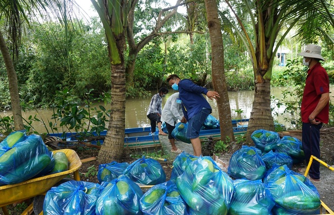 Dành tặng cả vườn rau, cây trái hỗ trợ những người khó khăn mùa dịch - 4 Dành tặng cả vườn rau, cây trái hỗ trợ những người khó khăn mùa dịch - 4