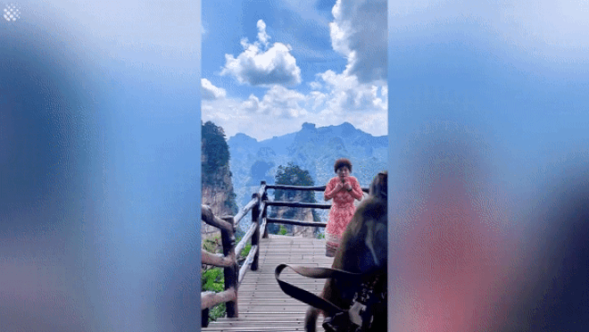 Mải múa hát, nữ du khách bị khỉ cướp túi xách - 1 Mải múa hát, nữ du khách bị khỉ cướp túi xách - 1