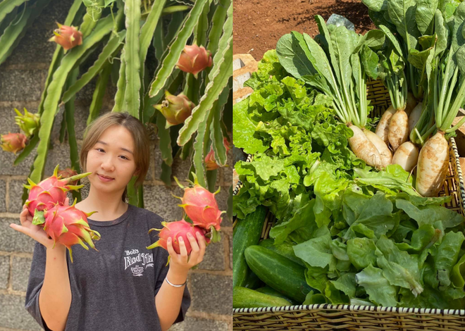Vườn rau nghĩa tình giúp bà con TPHCM mùa dịch của mẹ đảm ở Lâm Đồng - 2 Vườn rau nghĩa tình giúp bà con TPHCM mùa dịch của mẹ đảm ở Lâm Đồng - 2