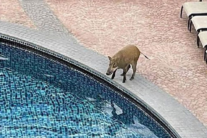 Lonrung_HongKong_Aberdeen Marina Club.jpg Lonrung_HongKong_Aberdeen Marina Club.jpg