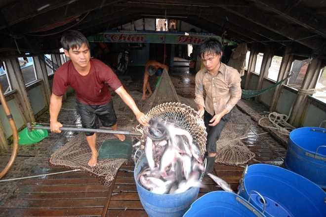 Không bị lọt sổ, người dân gánh cá tra, hái trái cây vui mừng nhận hỗ trợ - 1 Không bị lọt sổ, người dân gánh cá tra, hái trái cây vui mừng nhận hỗ trợ - 1