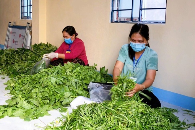Từng con cá, túi rau người dân dành tặng nhau trong những ngày chống dịch - 3 Từng con cá, túi rau người dân dành tặng nhau trong những ngày chống dịch - 3