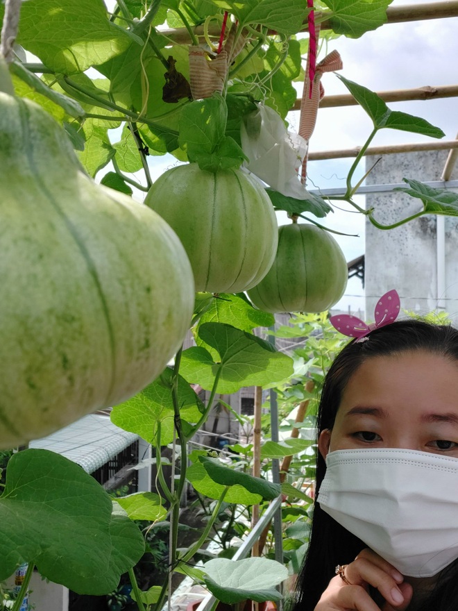 Tái chế đồ cũ, gia chủ Bình Dương làm vườn mái tôn chẳng thiếu gì - 12 Tái chế đồ cũ, gia chủ Bình Dương làm vườn mái tôn chẳng thiếu gì - 12