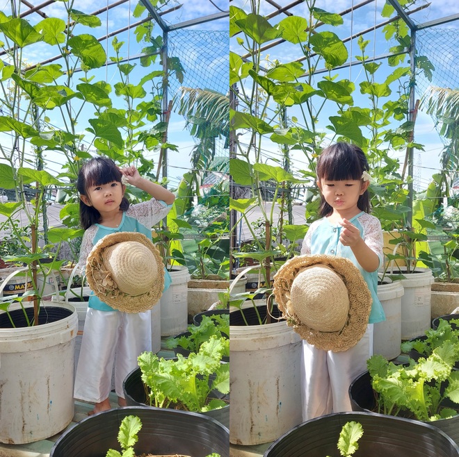 Tái chế đồ cũ, gia chủ Bình Dương làm vườn mái tôn chẳng thiếu gì - 14 Tái chế đồ cũ, gia chủ Bình Dương làm vườn mái tôn chẳng thiếu gì - 14