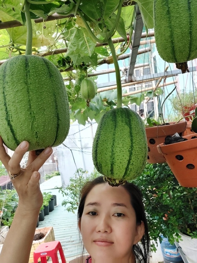 Tái chế đồ cũ, gia chủ Bình Dương làm vườn mái tôn chẳng thiếu gì - 2 Tái chế đồ cũ, gia chủ Bình Dương làm vườn mái tôn chẳng thiếu gì - 2
