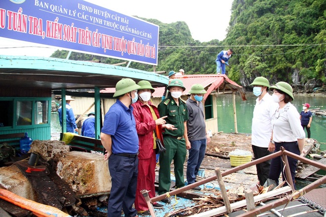 Hải Phòng tháo dỡ hơn 400 cơ sở nuôi trồng thủy sản tại Cát bà - 4