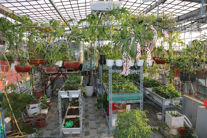 Kỹ sư ở Hà Nội mang quê vào phố, làm vườn, nuôi chim trên nóc nhà - 7 Kỹ sư ở Hà Nội mang quê vào phố, làm vườn, nuôi chim trên nóc nhà - 7