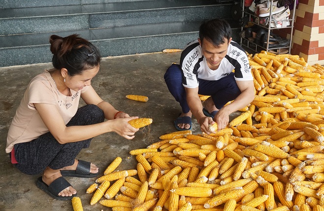 Cuộc di cư lao động lịch sử: Sợ lắm những nguy hiểm, bất trắc... - 4 Cuộc di cư lao động lịch sử: Sợ lắm những nguy hiểm, bất trắc... - 4