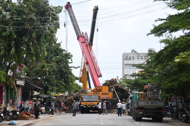 Cây đa khủng bật gốc bịt kín cửa ngõ, xe cẩu vật vã 4 ngày vẫn... bó tay  - 2