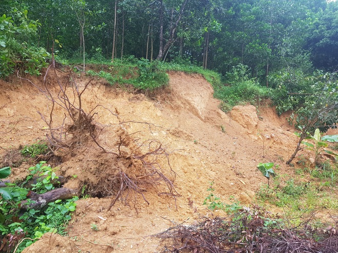 Đồi Vó Nước nứt toác vì mưa lớn, Ninh Bình di dời khẩn cấp nhiều hộ dân - 3