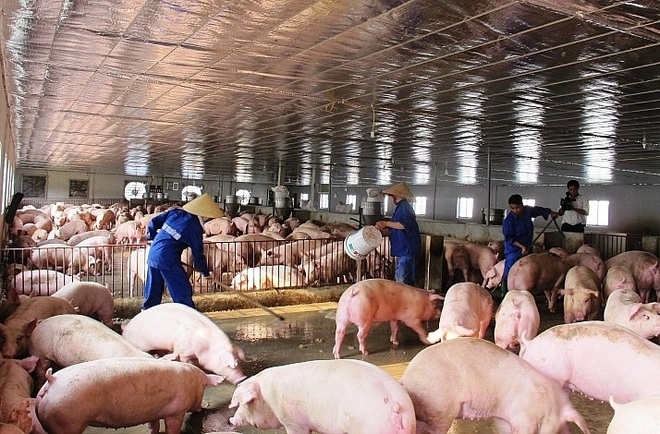 Khó khăn vây doanh nghiệp: Khát lao động, đuối với xét nghiệm Covid-19 - 2 Khó khăn vây doanh nghiệp: Khát lao động, đuối với xét nghiệm Covid-19 - 2