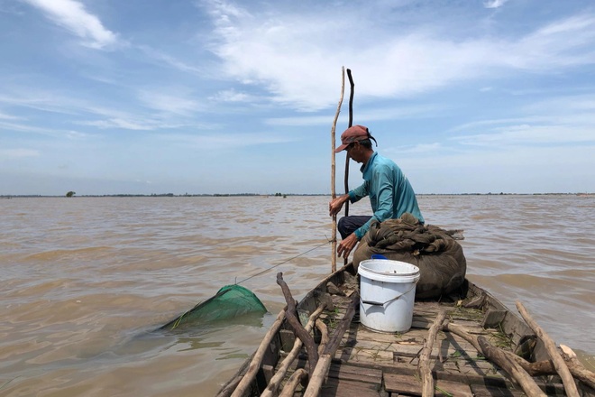 Quần thảo cả ngày trên cánh đồng lũ bắt cá trời cho, bỏ túi nửa triệu - 2 Quần thảo cả ngày trên cánh đồng lũ bắt cá trời cho, bỏ túi nửa triệu - 2