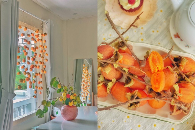 Vườn hồng trĩu quả giữa Đà Lạt của vợ chồng bỏ phố về núi - 12 Vườn hồng trĩu quả giữa Đà Lạt của vợ chồng bỏ phố về núi - 12