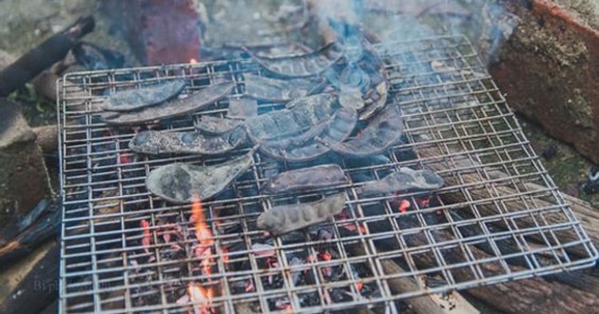6 cách xua đuổi muỗi hoàn toàn tự nhiên đem lại hiệu quả lâu dài - 3 6 cách xua đuổi muỗi hoàn toàn tự nhiên đem lại hiệu quả lâu dài - 3