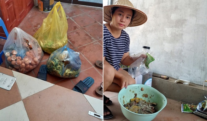Gia đình làm vườn rau trên không xanh mướt nhờ rác thải nhà bếp - 3 Gia đình làm vườn rau trên không xanh mướt nhờ rác thải nhà bếp - 3