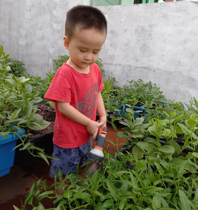 Gia đình làm vườn rau trên không xanh mướt nhờ rác thải nhà bếp - 6 Gia đình làm vườn rau trên không xanh mướt nhờ rác thải nhà bếp - 6