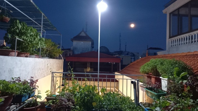 Gia đình làm vườn rau trên không xanh mướt nhờ rác thải nhà bếp - 8 Gia đình làm vườn rau trên không xanh mướt nhờ rác thải nhà bếp - 8