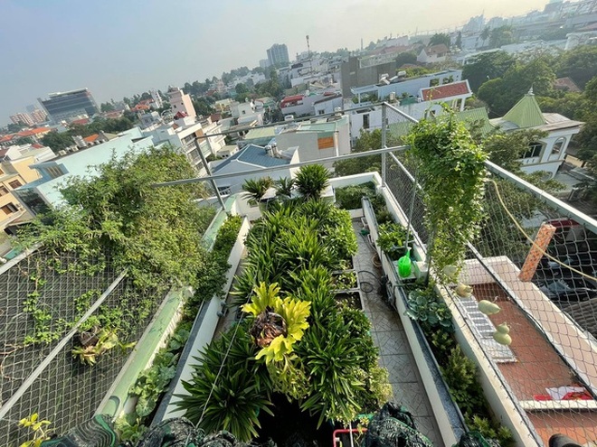 Vườn trồng rau, nuôi cá tươi sống trên sân thượng ở TPHCM - 6 Vườn trồng rau, nuôi cá tươi sống trên sân thượng ở TPHCM - 6