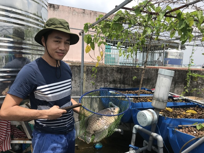 Vườn trồng rau, nuôi cá tươi sống trên sân thượng ở TPHCM - 15 Vườn trồng rau, nuôi cá tươi sống trên sân thượng ở TPHCM - 15